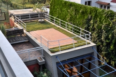 DSC_0031-view-of-roof-garden-over-kitchen..-and-breakfast-de